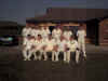 Cimla Cricket Club Second XI - Season 2001