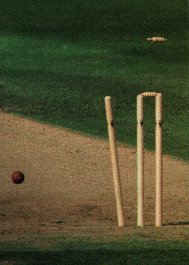 Wickets
